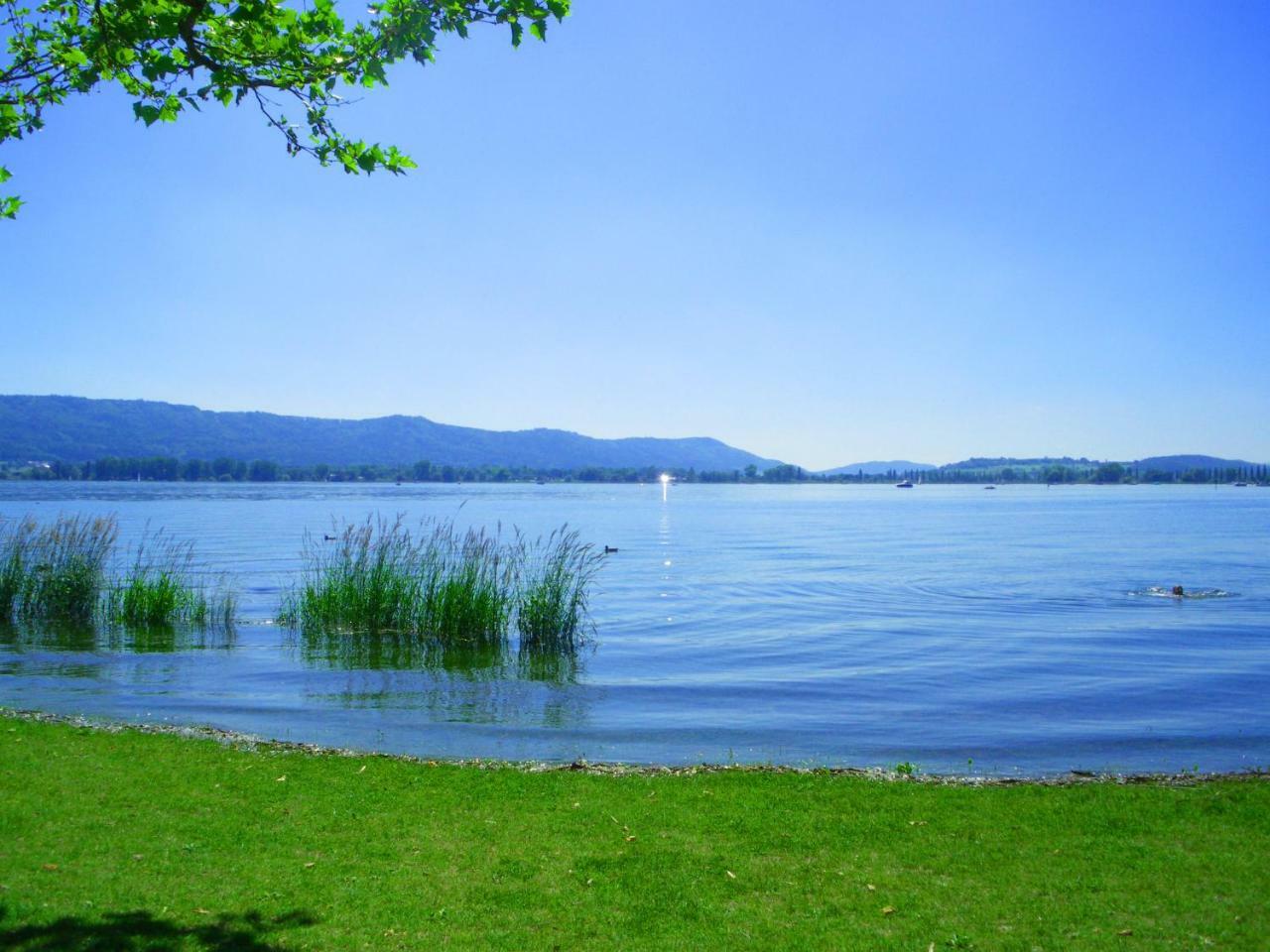 Moderne Wohnung Radolfzell am Bodensee Eksteriør billede